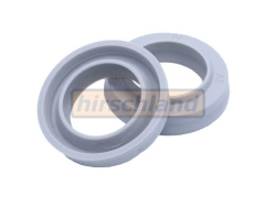 Giuliano Radial Shaft Seal For Beadbreaker Cylinder
